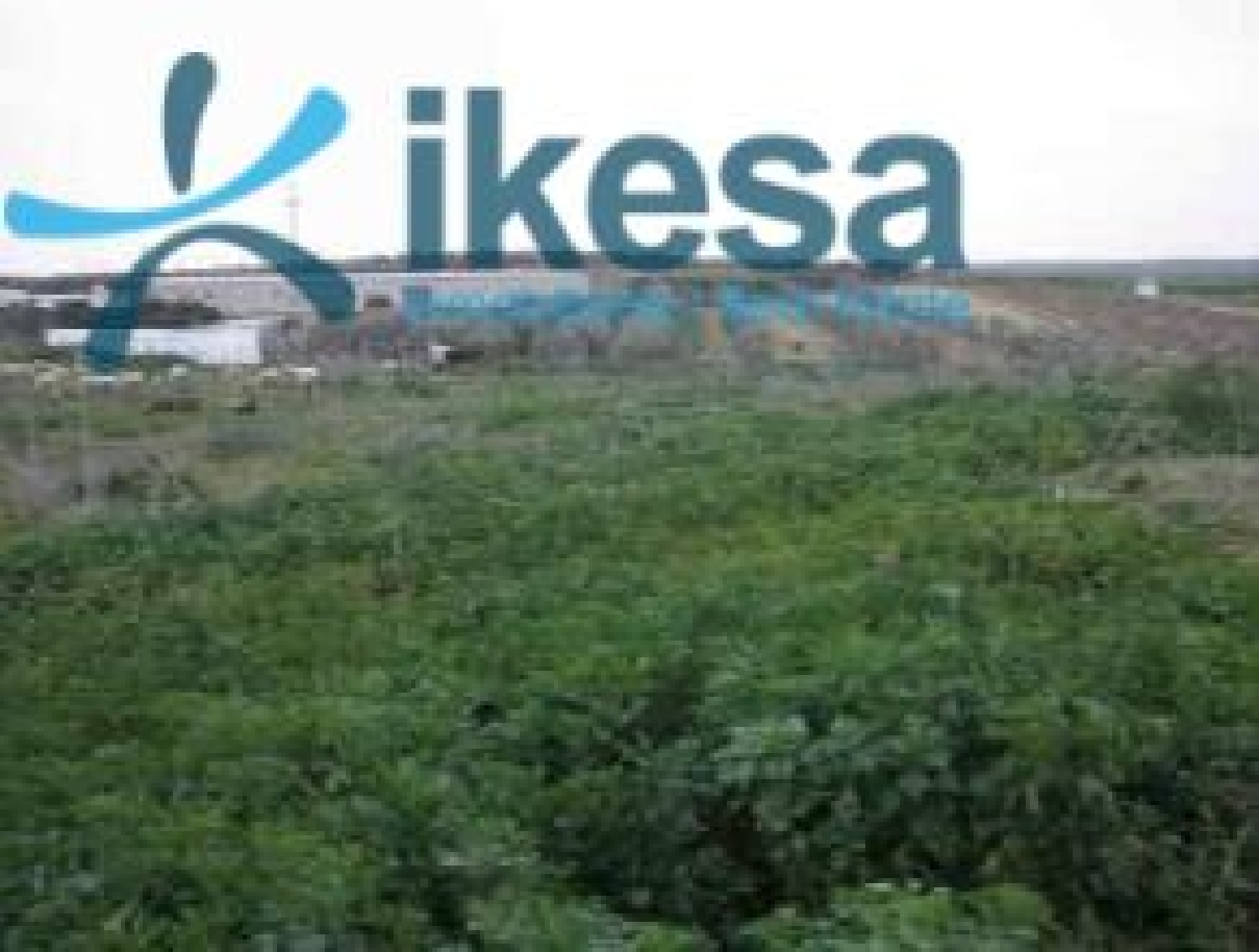  te koop perceel Manzanilla Condado (El) 2