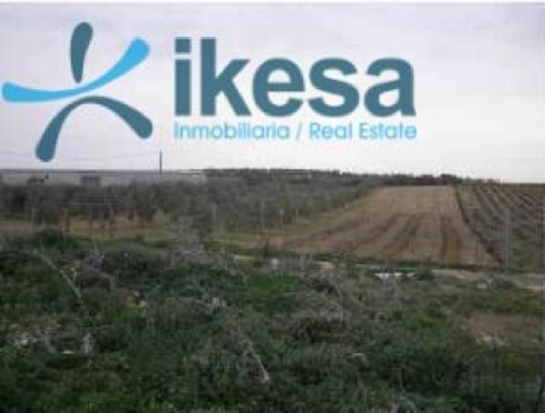 Manzanilla Condado (El) perceel foto 6336760