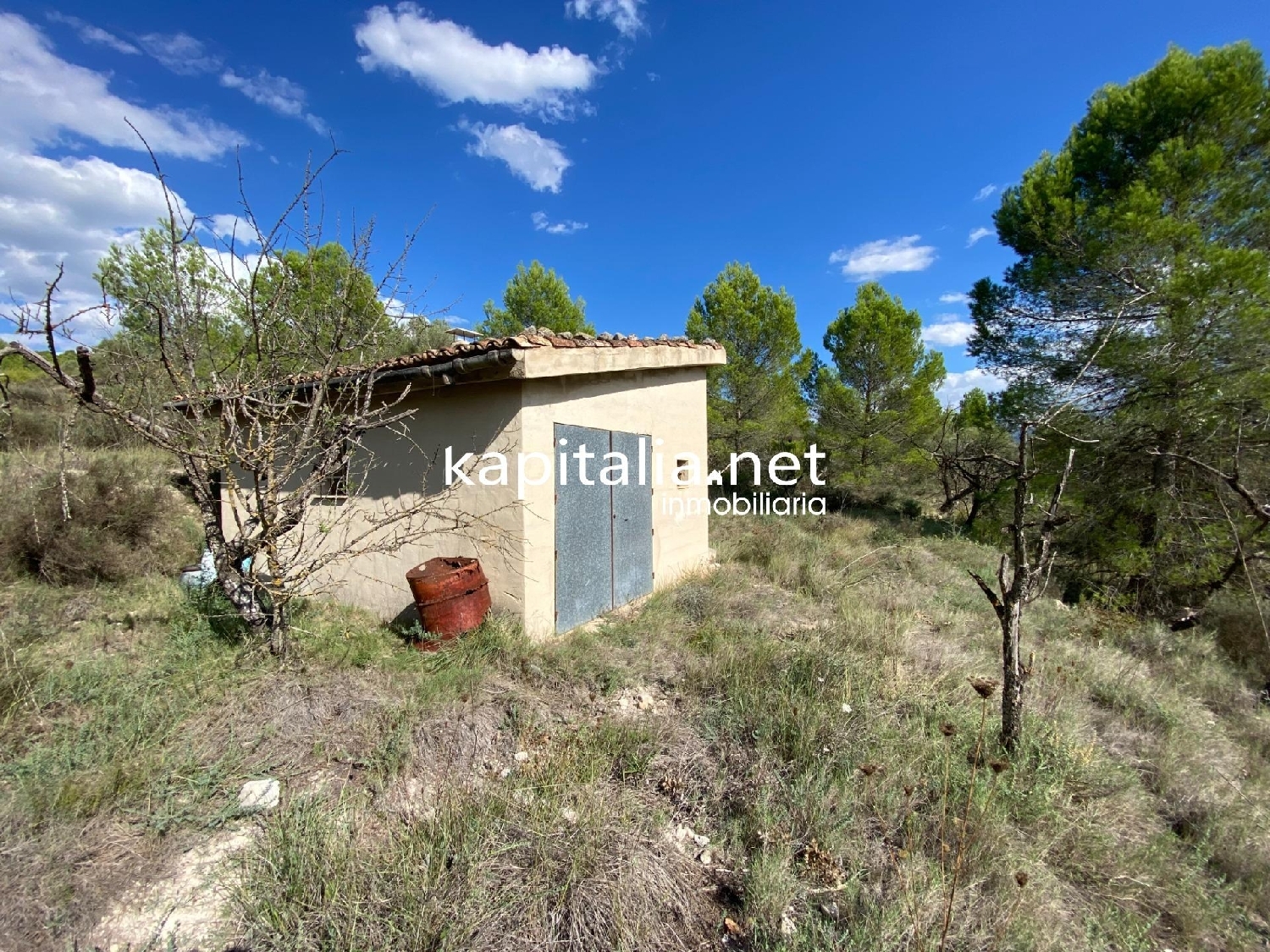 for sale plot Millena Comtat 2