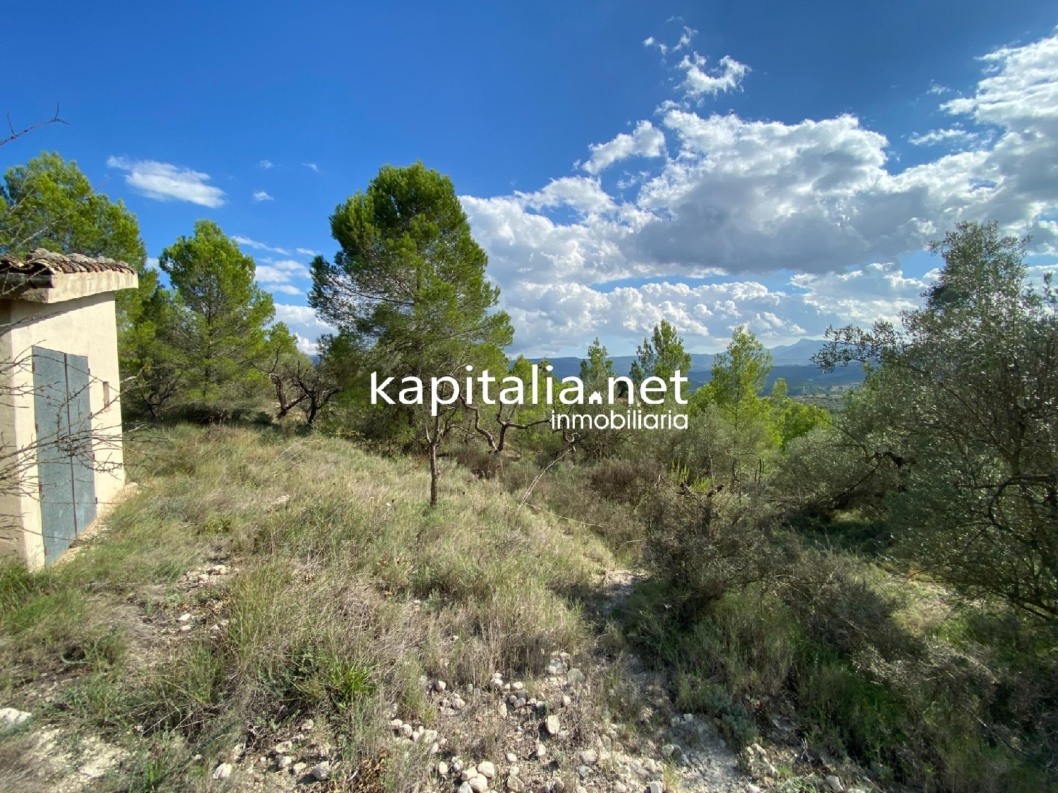 for sale plot Millena Comtat 3