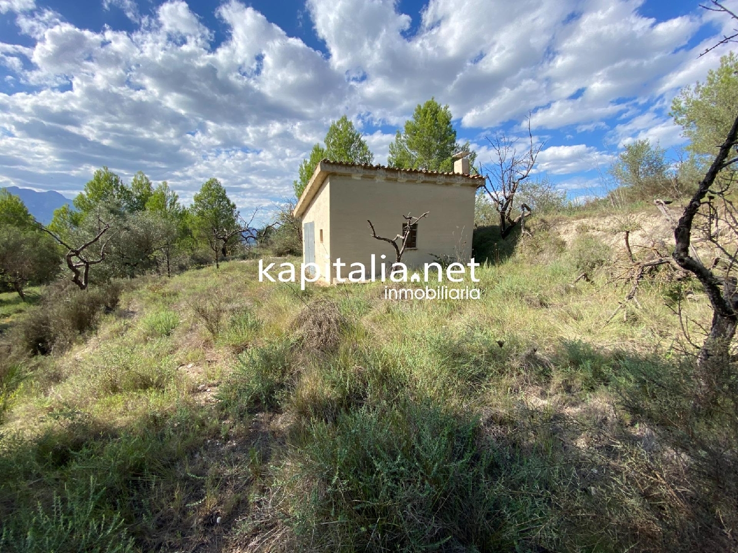 for sale plot Millena Comtat 1