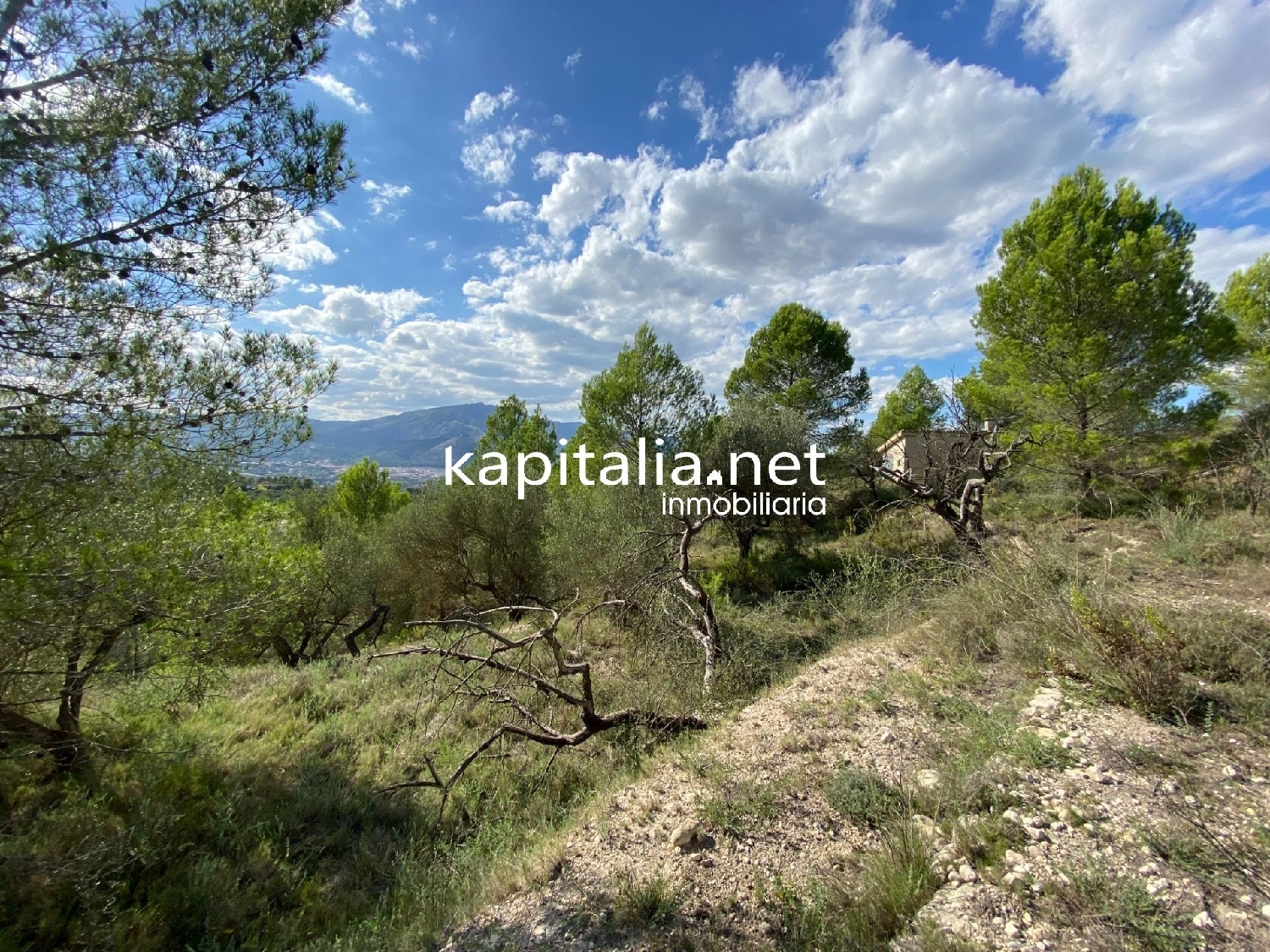 for sale plot Millena Comtat 7