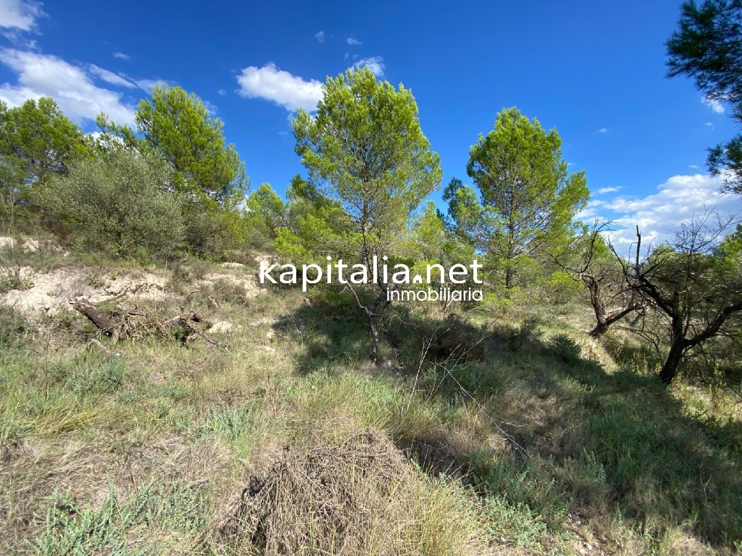 for sale plot Millena Comtat 6