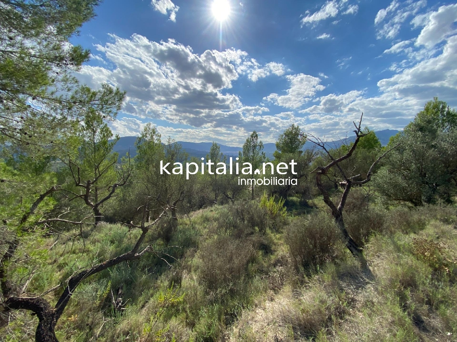 for sale plot Millena Comtat 4