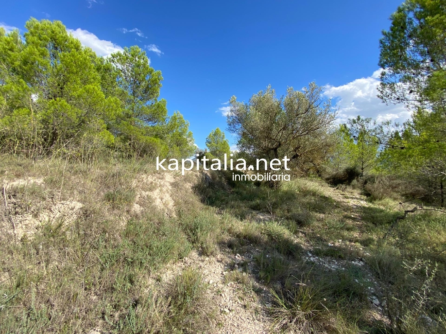 for sale plot Millena Comtat 8