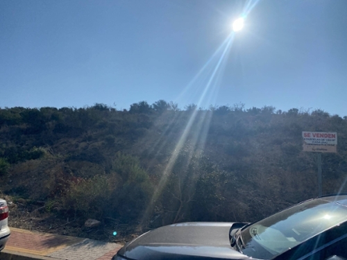 Molina De Segura Vega Media Del Segura terrain foto 6326959