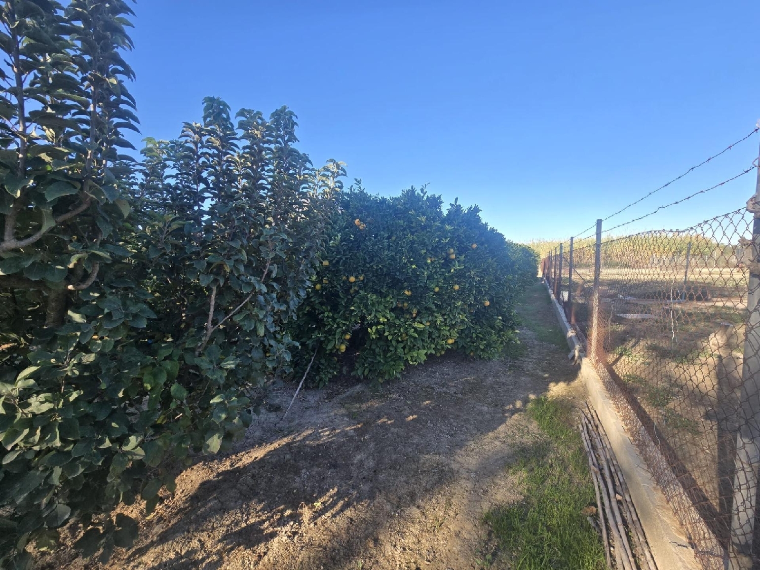  en venta terreno Molina De Segura Vega Media Del Segura 7