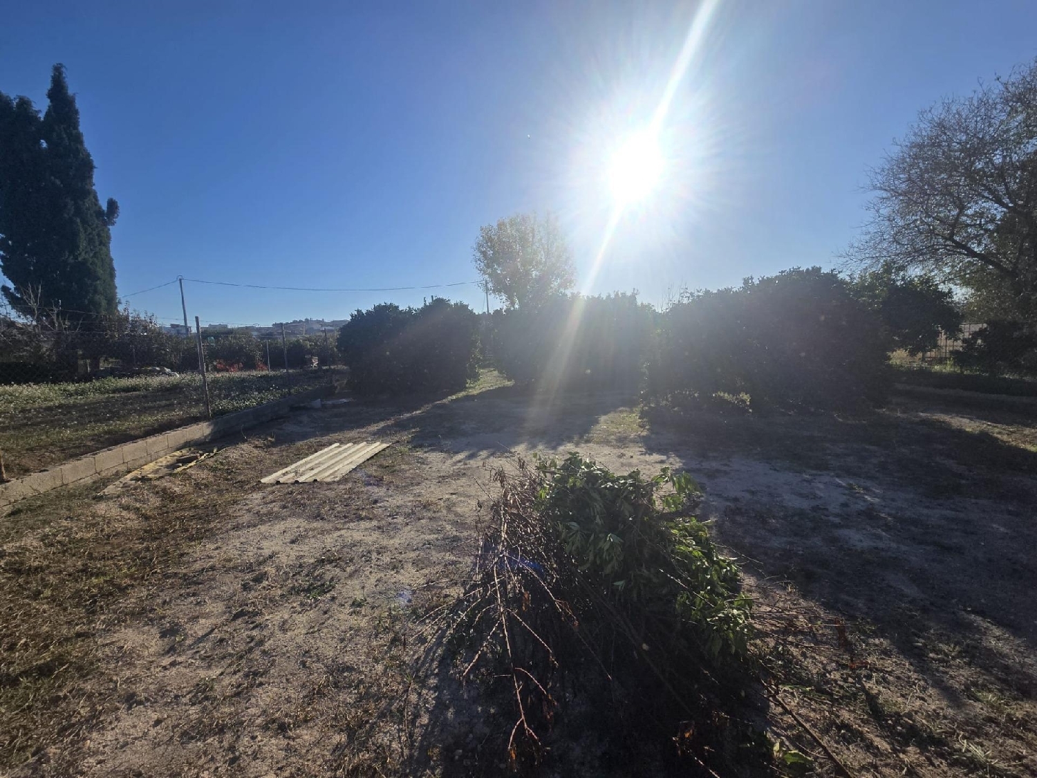  en venta terreno Molina De Segura Vega Media Del Segura 2