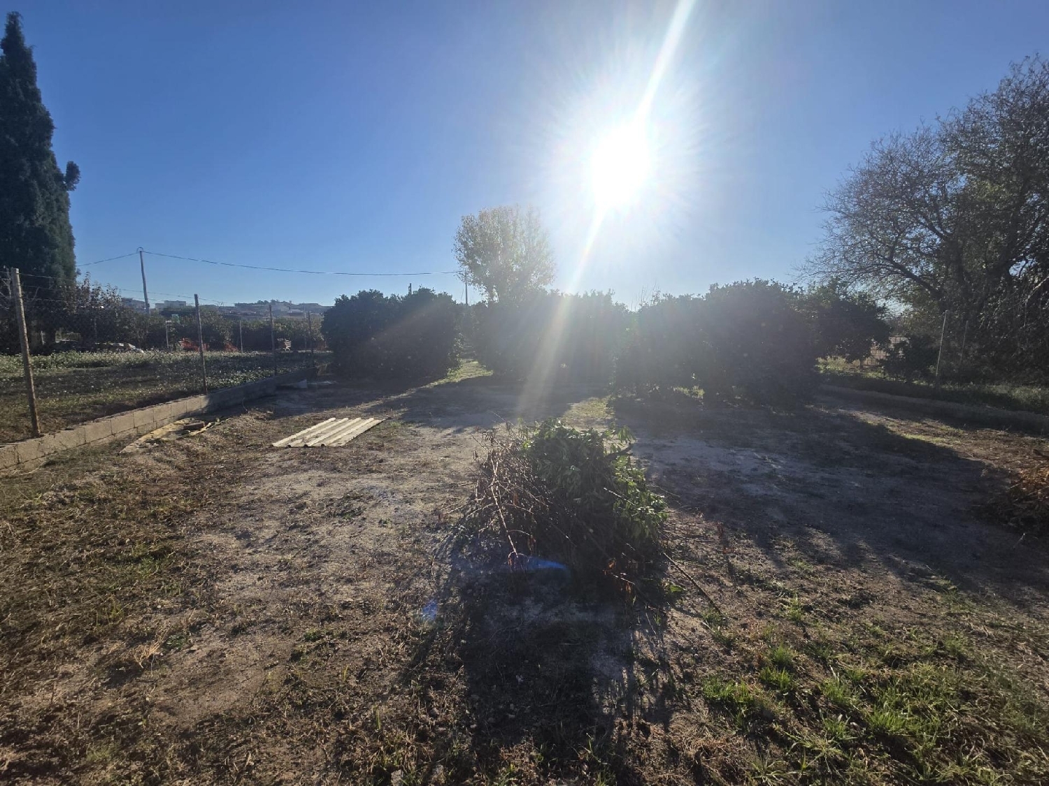  en venta terreno Molina De Segura Vega Media Del Segura 1