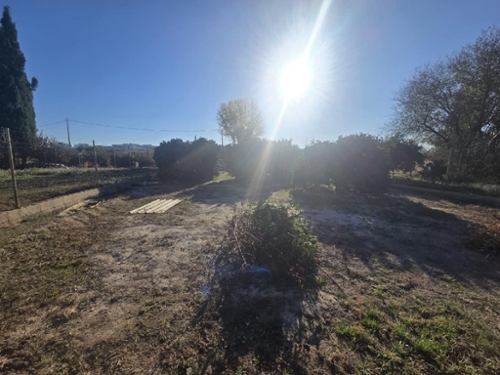 Molina De Segura Vega Media Del Segura terreno foto 6338740