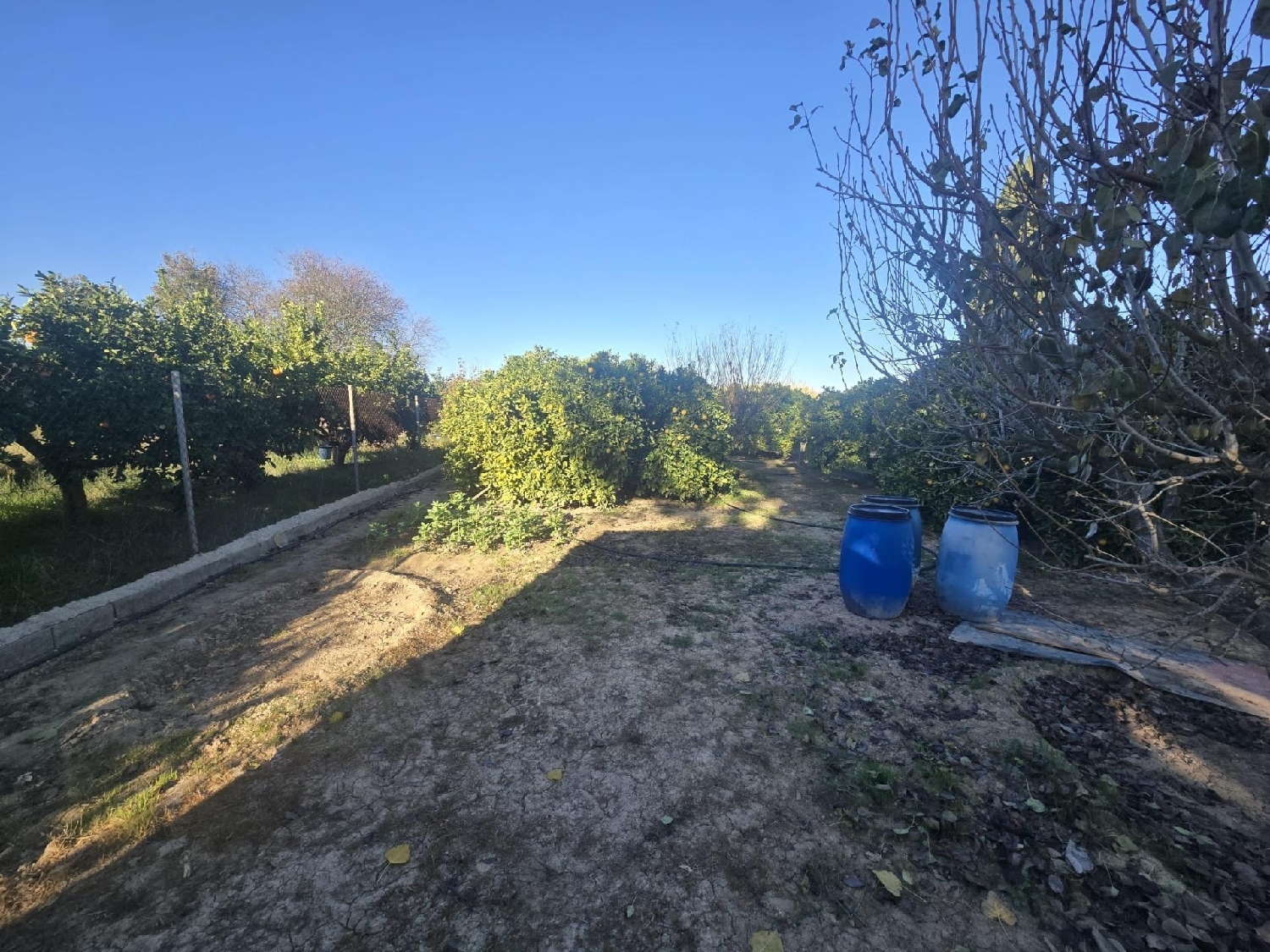  en venta terreno Molina De Segura Vega Media Del Segura 6