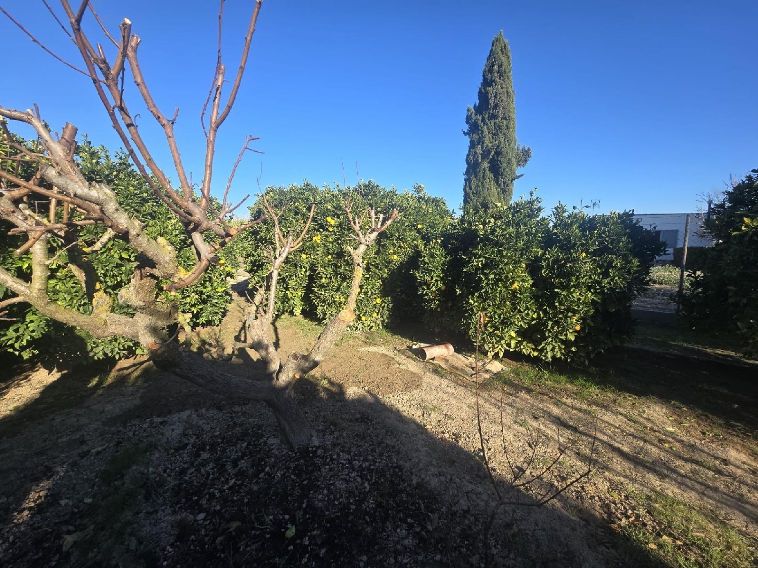  en venta terreno Molina De Segura Vega Media Del Segura 8