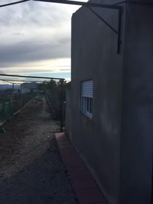 Molina De Segura Vega Media Del Segura tomt foto 6337850