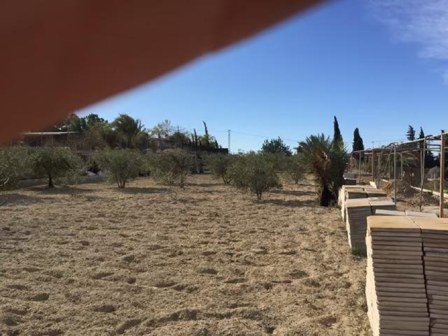  till salu tomt Molina De Segura Vega Media Del Segura 5