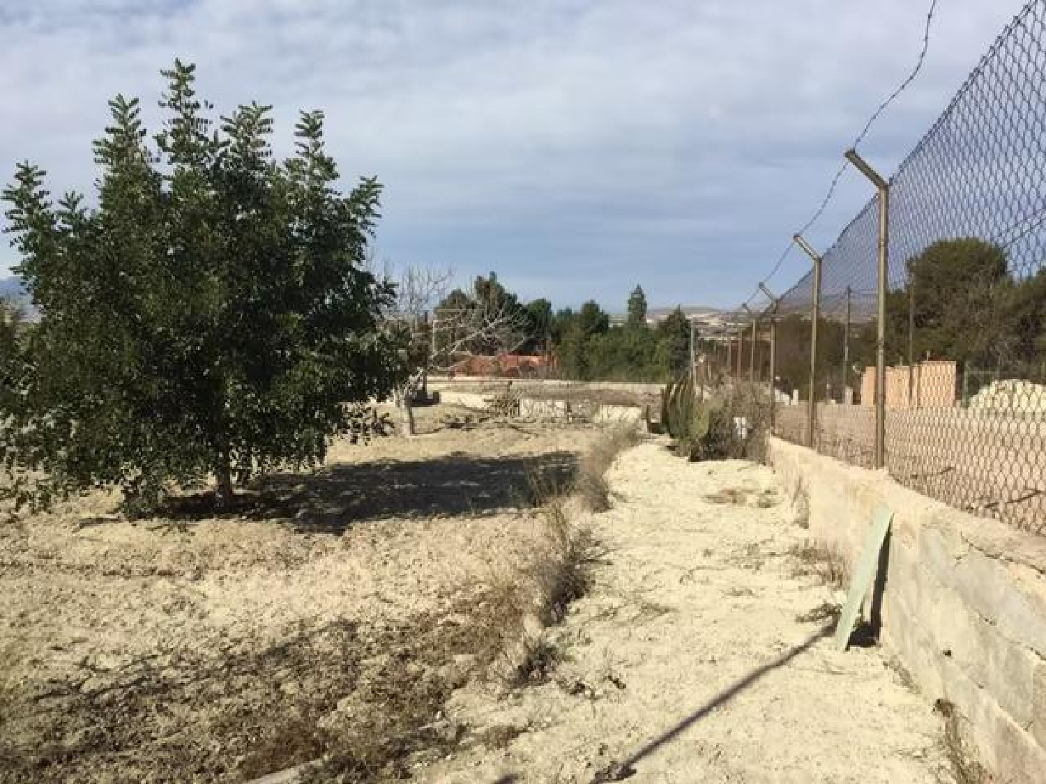  till salu tomt Molina De Segura Vega Media Del Segura 6