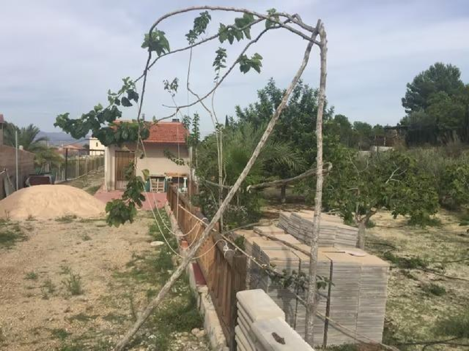  till salu tomt Molina De Segura Vega Media Del Segura 7