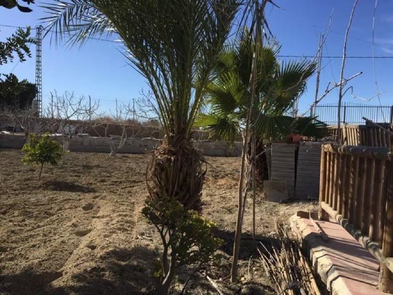  till salu tomt Molina De Segura Vega Media Del Segura 8