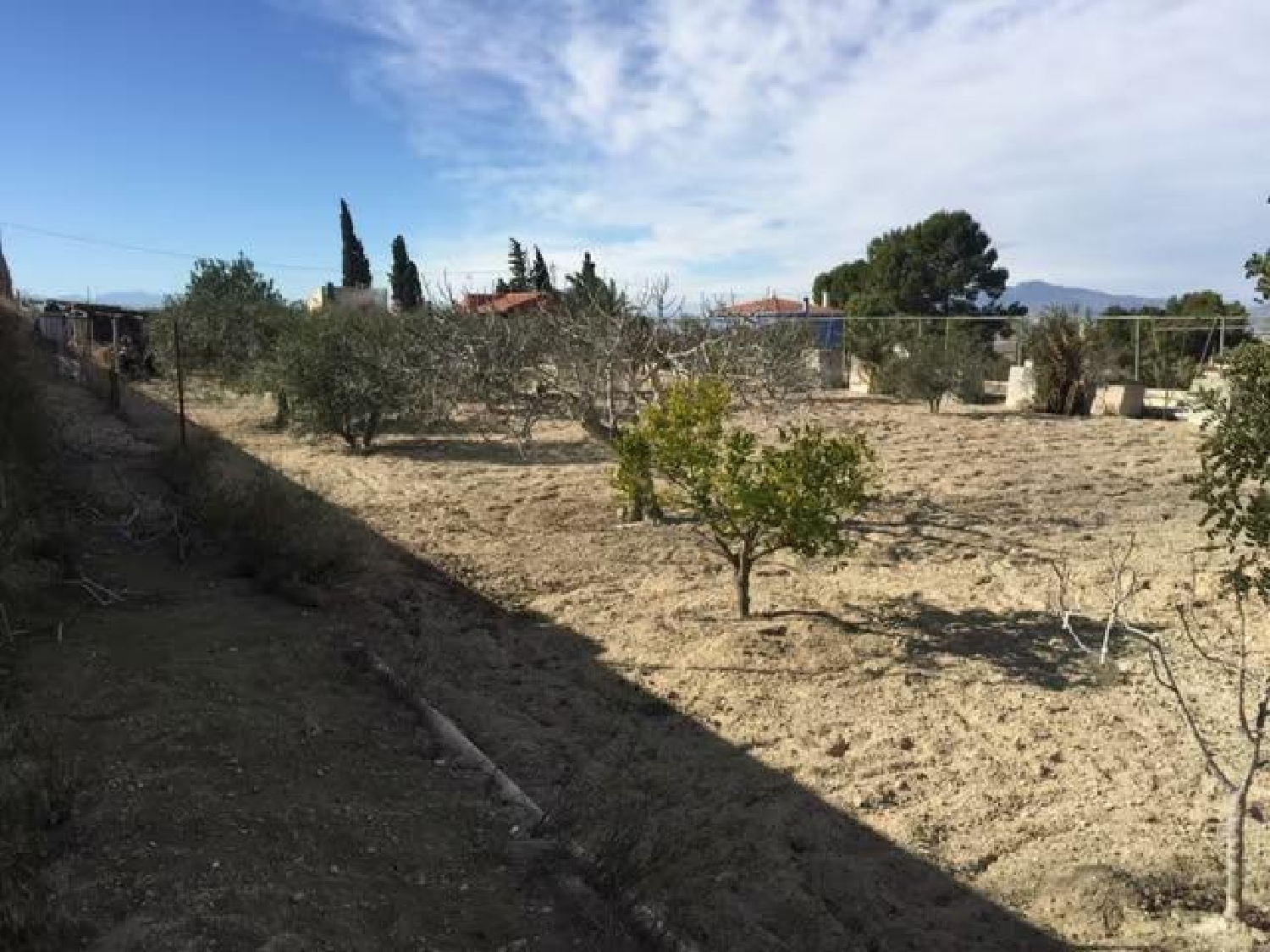  till salu tomt Molina De Segura Vega Media Del Segura 4