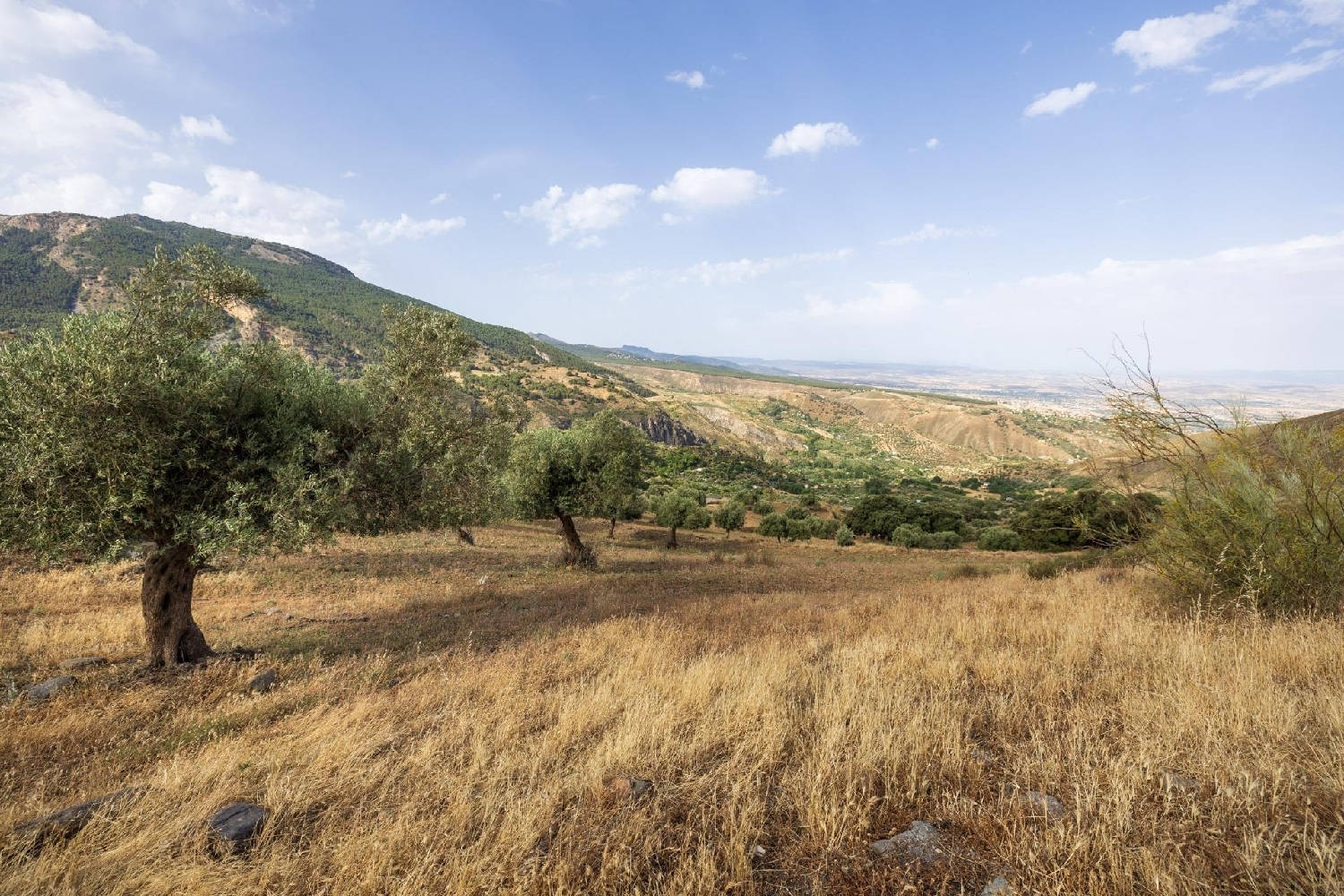  till salu tomt Monachil Vega De Granada 7