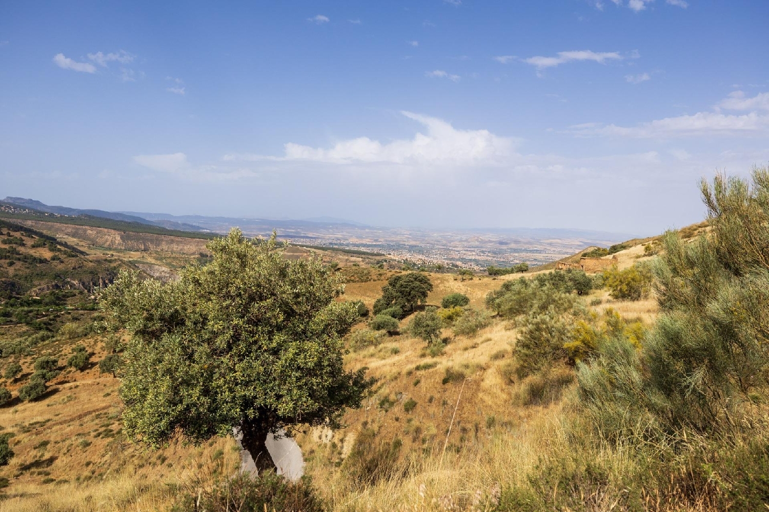  till salu tomt Monachil Vega De Granada 3