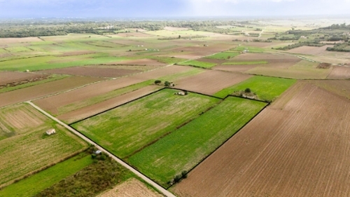 Muro Nord plot foto 6334668