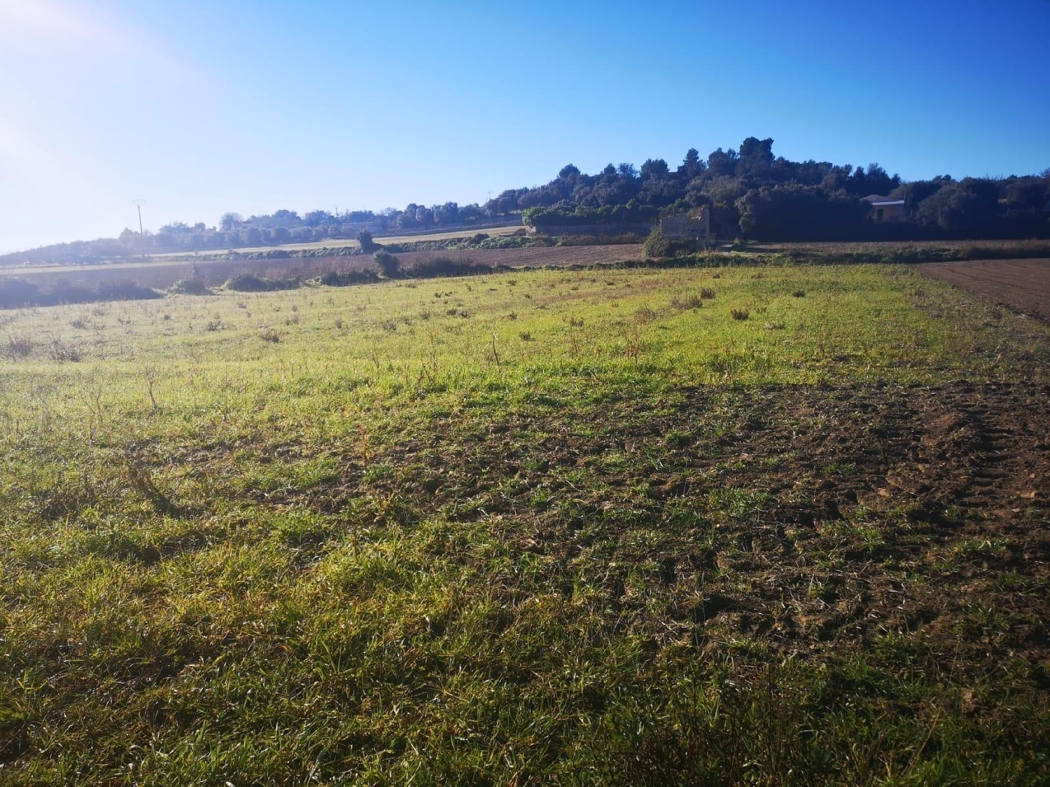  en venta terreno Muro Nord 2