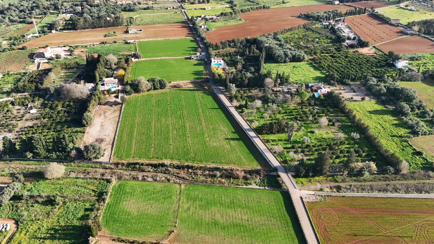  kaufen Grundstück Muro Nord 4