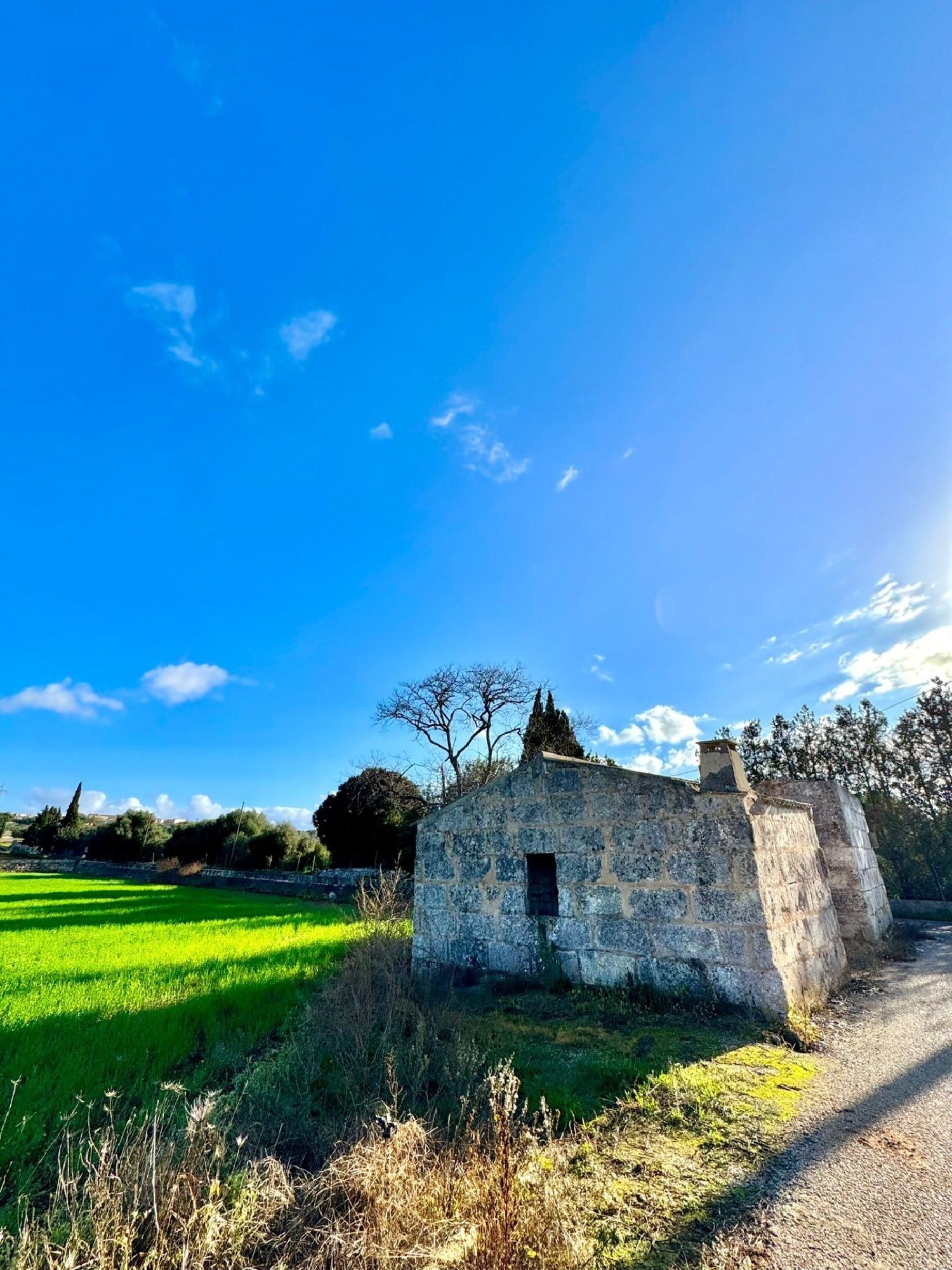  kaufen Grundstück Muro Nord 7