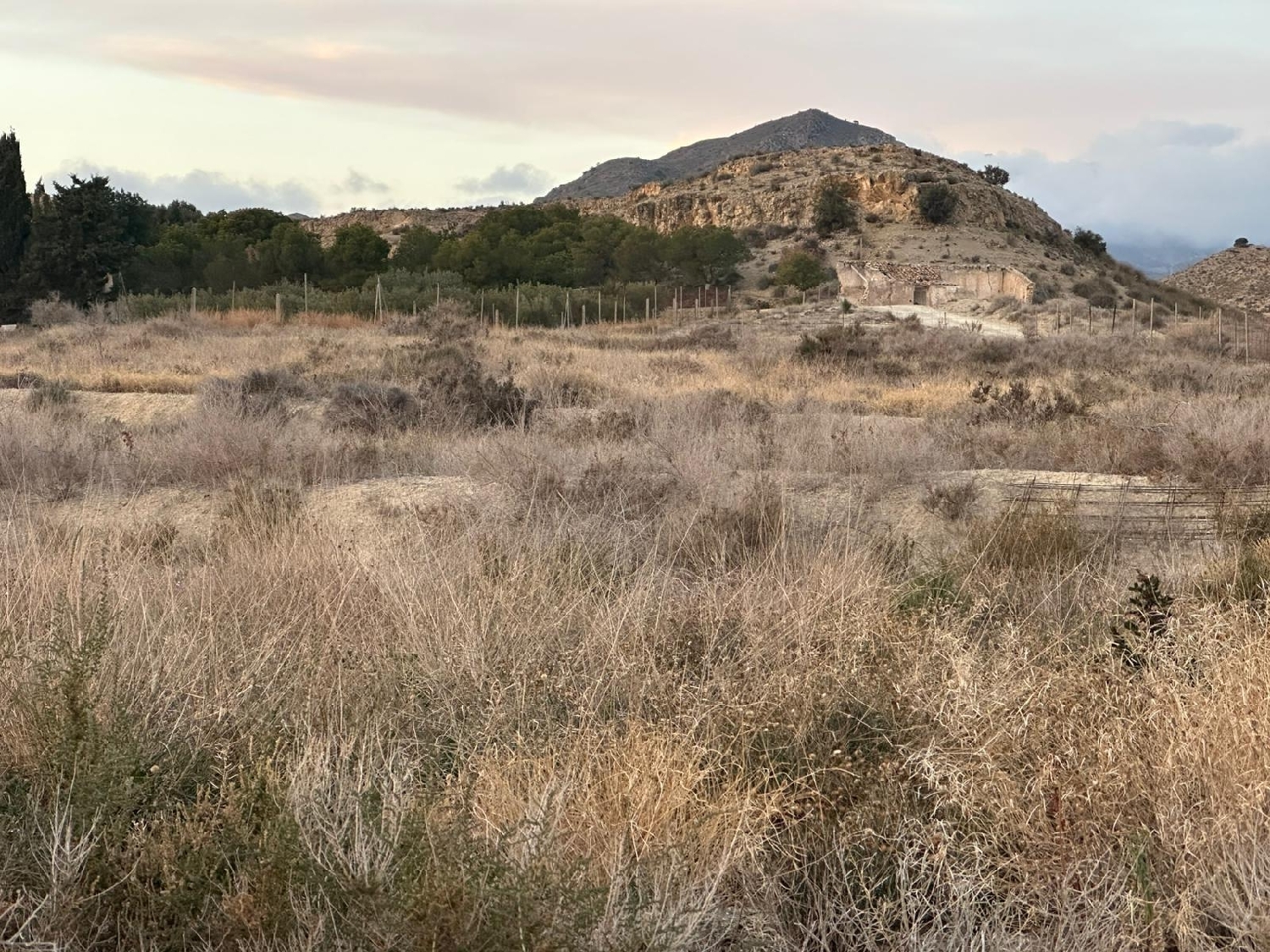 kaufen Grundstück Mutxamel Alacantí 5