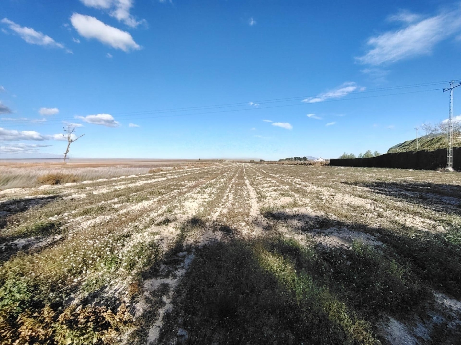  en venta terreno Novelda Vinalopó Mitjà 2