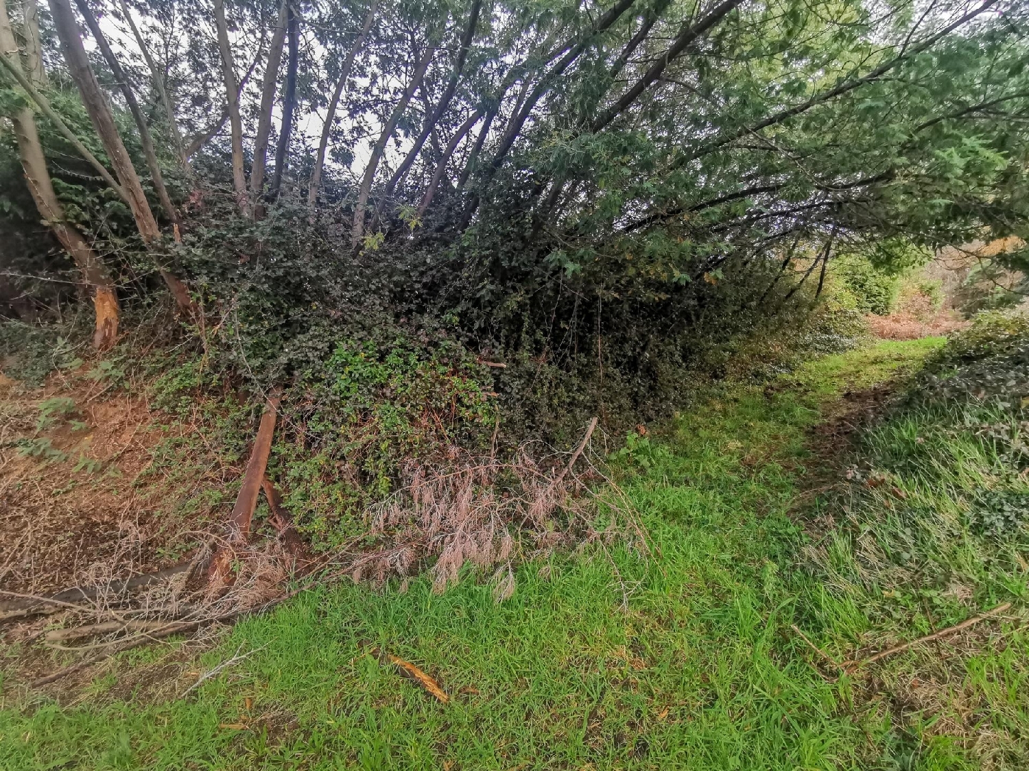 te koop perceel Oleiros Barbanza 6