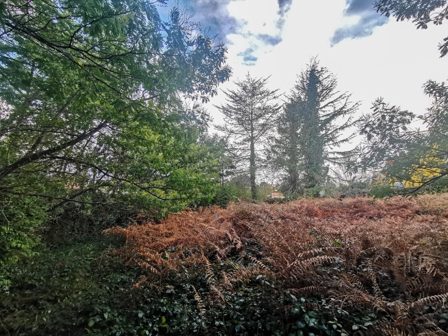 te koop perceel Oleiros Barbanza 8