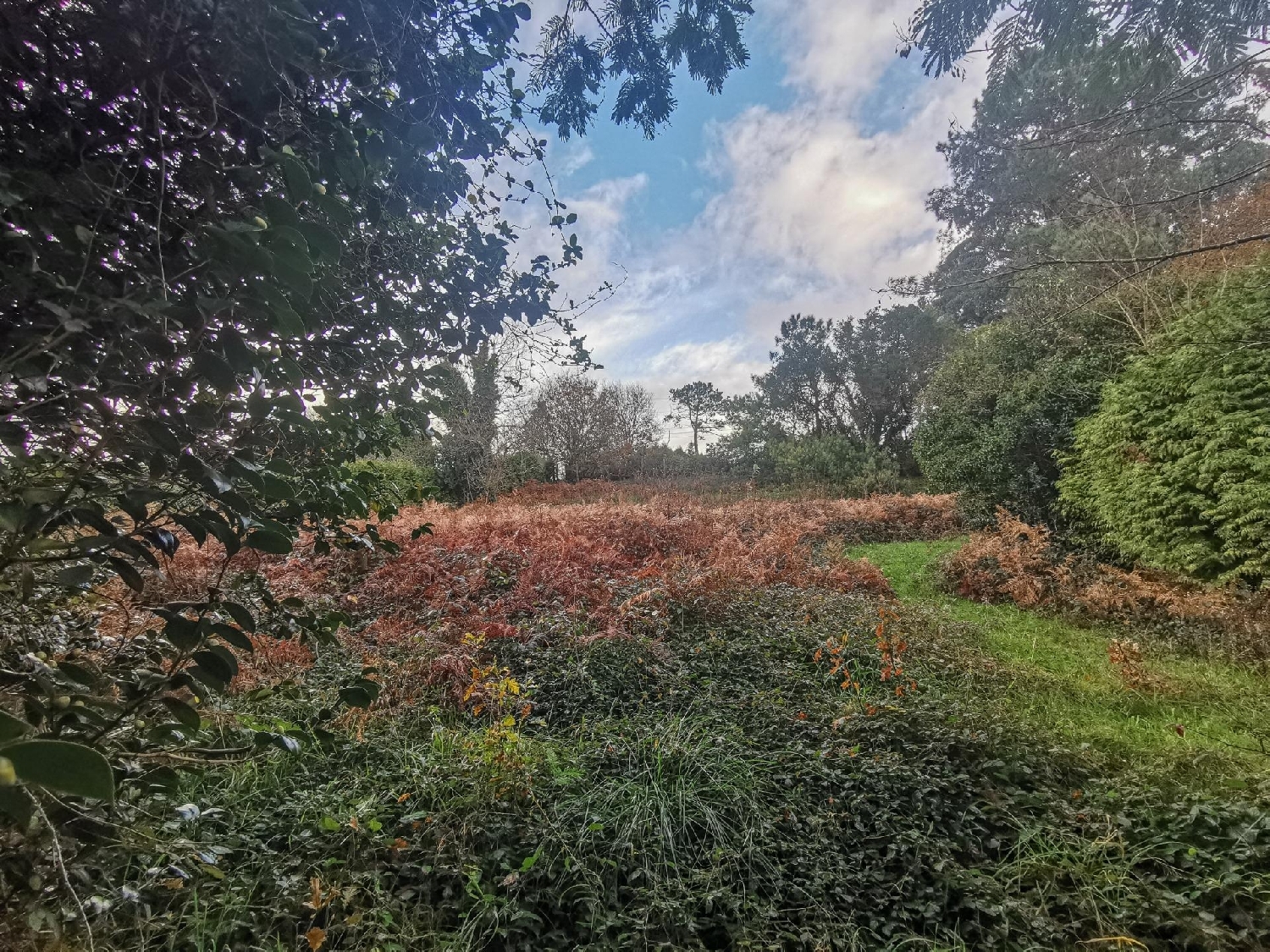 te koop perceel Oleiros Barbanza 7