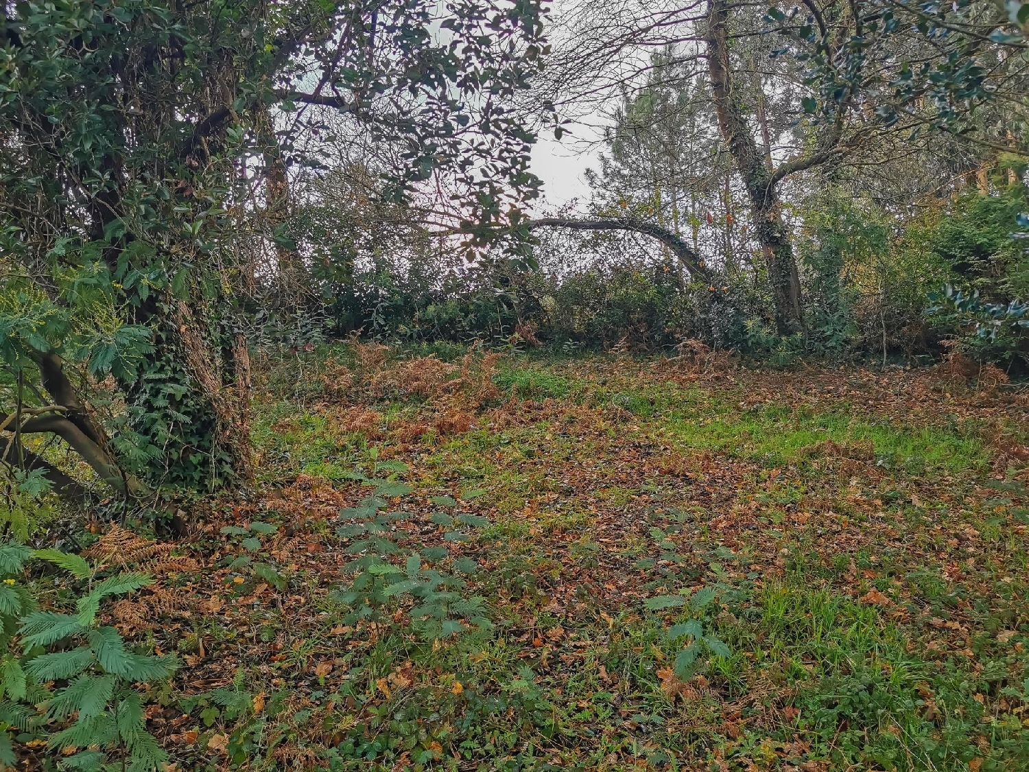 te koop perceel Oleiros Barbanza 5