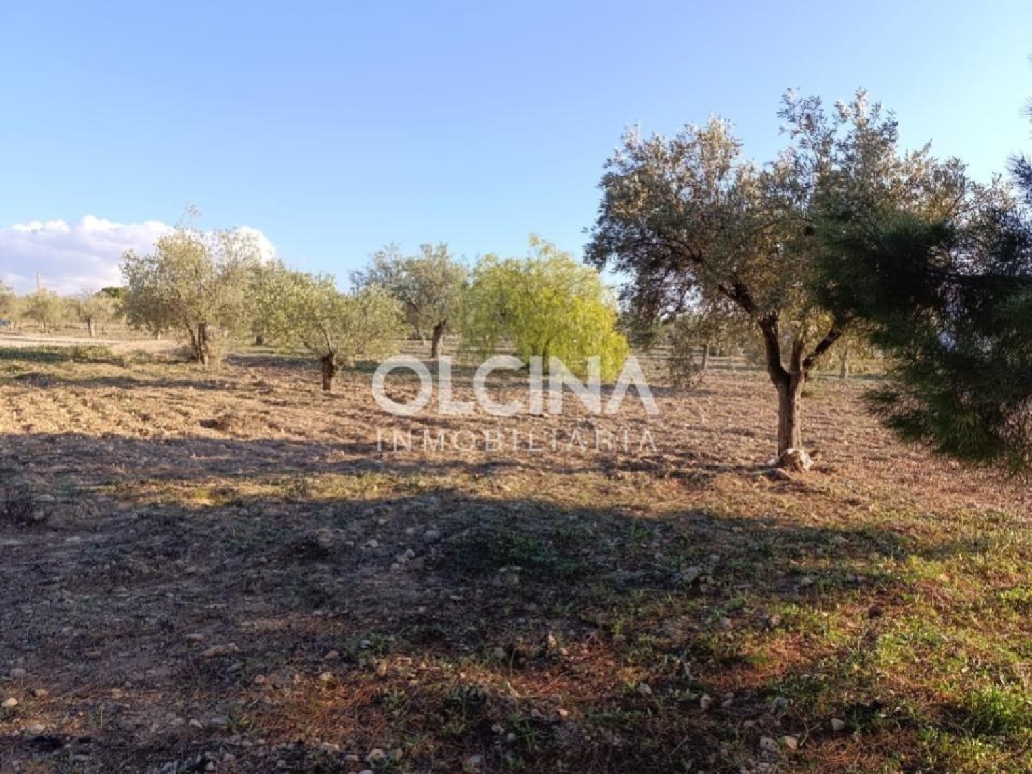  en venta terreno Onil Alcoia 7