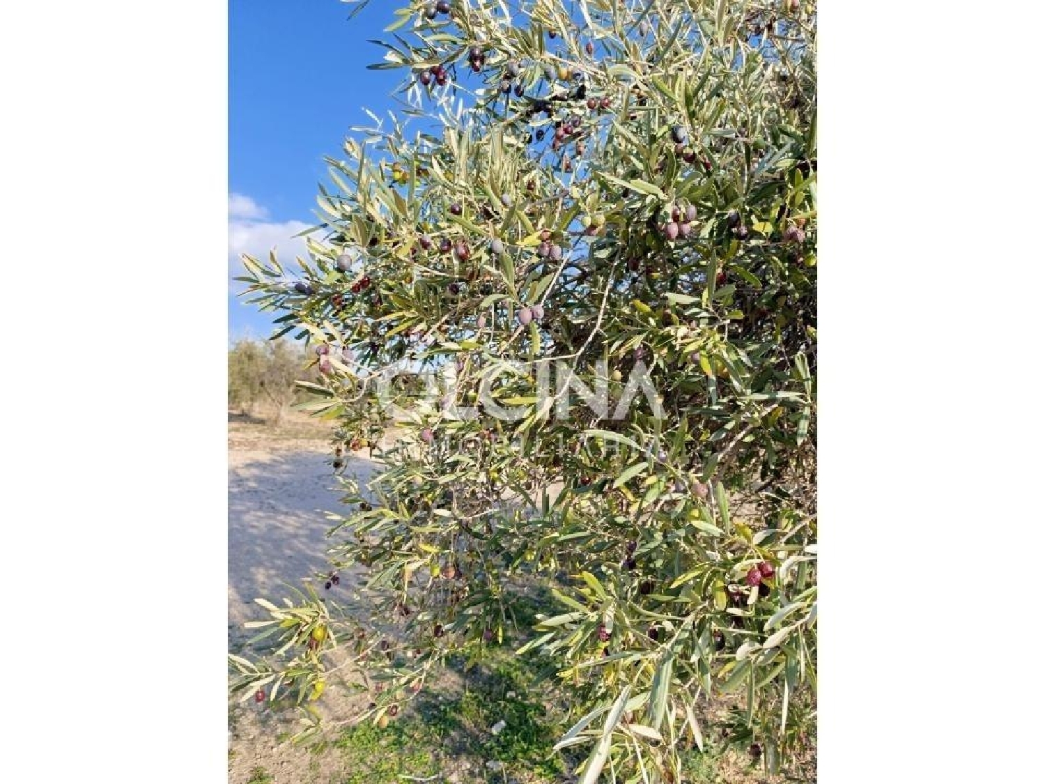  en venta terreno Onil Alcoia 6