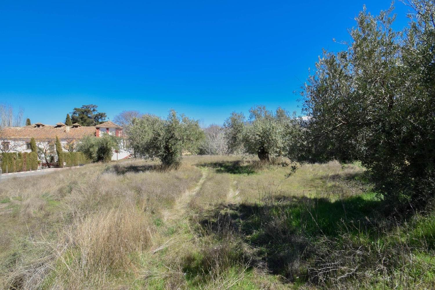  for sale plot Otura Vega De Granada 5