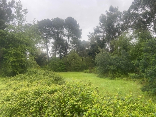 Ourense Casco Antiguo Ourense tomt foto 6336706