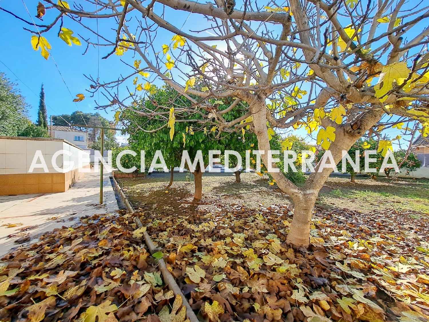 till salu tomt Paterna Del Madera Sierra Del Segura 3