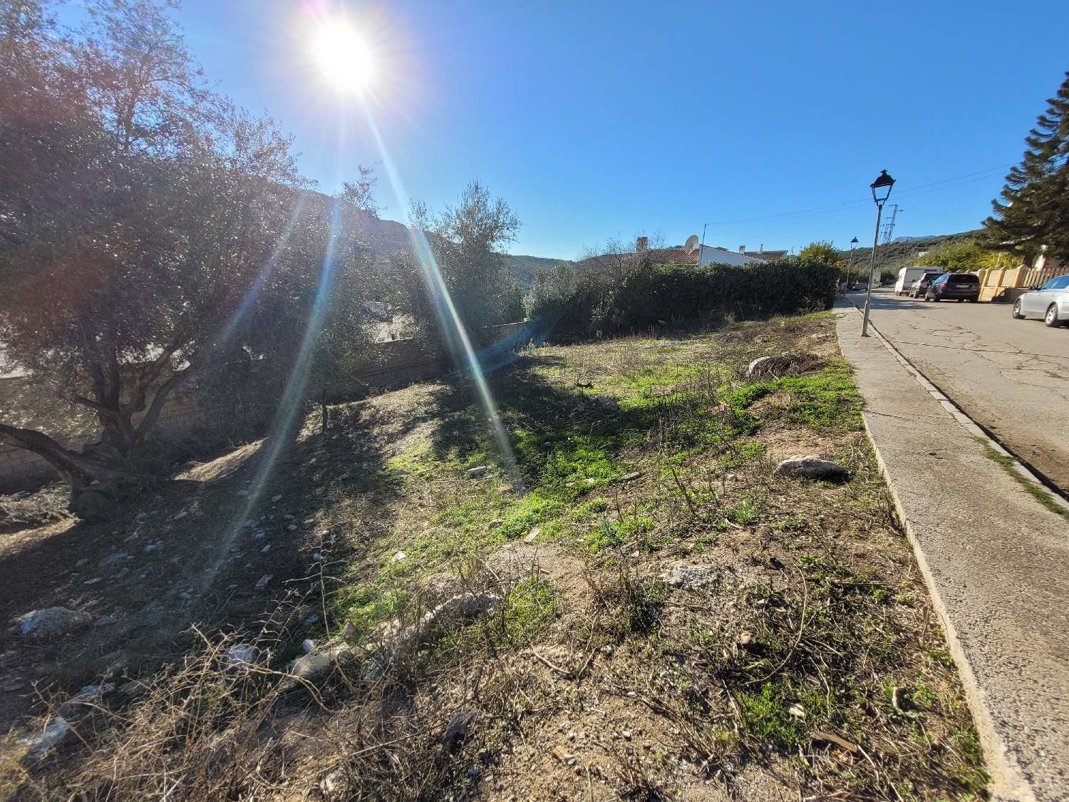  till salu tomt Periana Axarquía 8