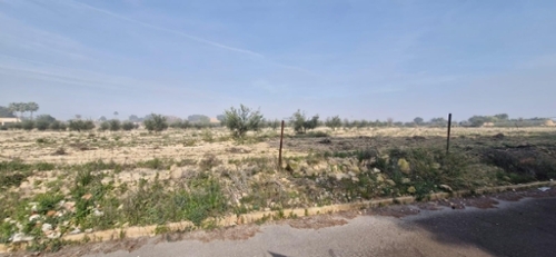 Perleta Baix Vinalopó perceel foto 6327720