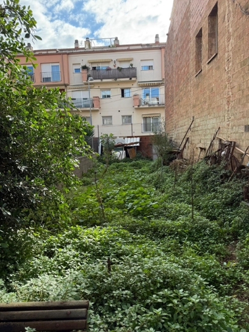 Piera Anoia tomt foto 6330050