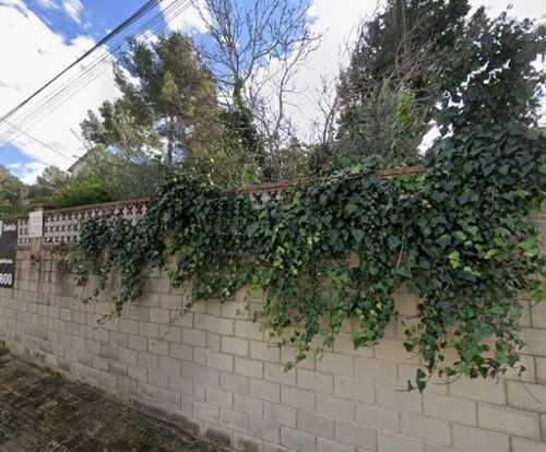 Piera Anoia tomt foto 6331203