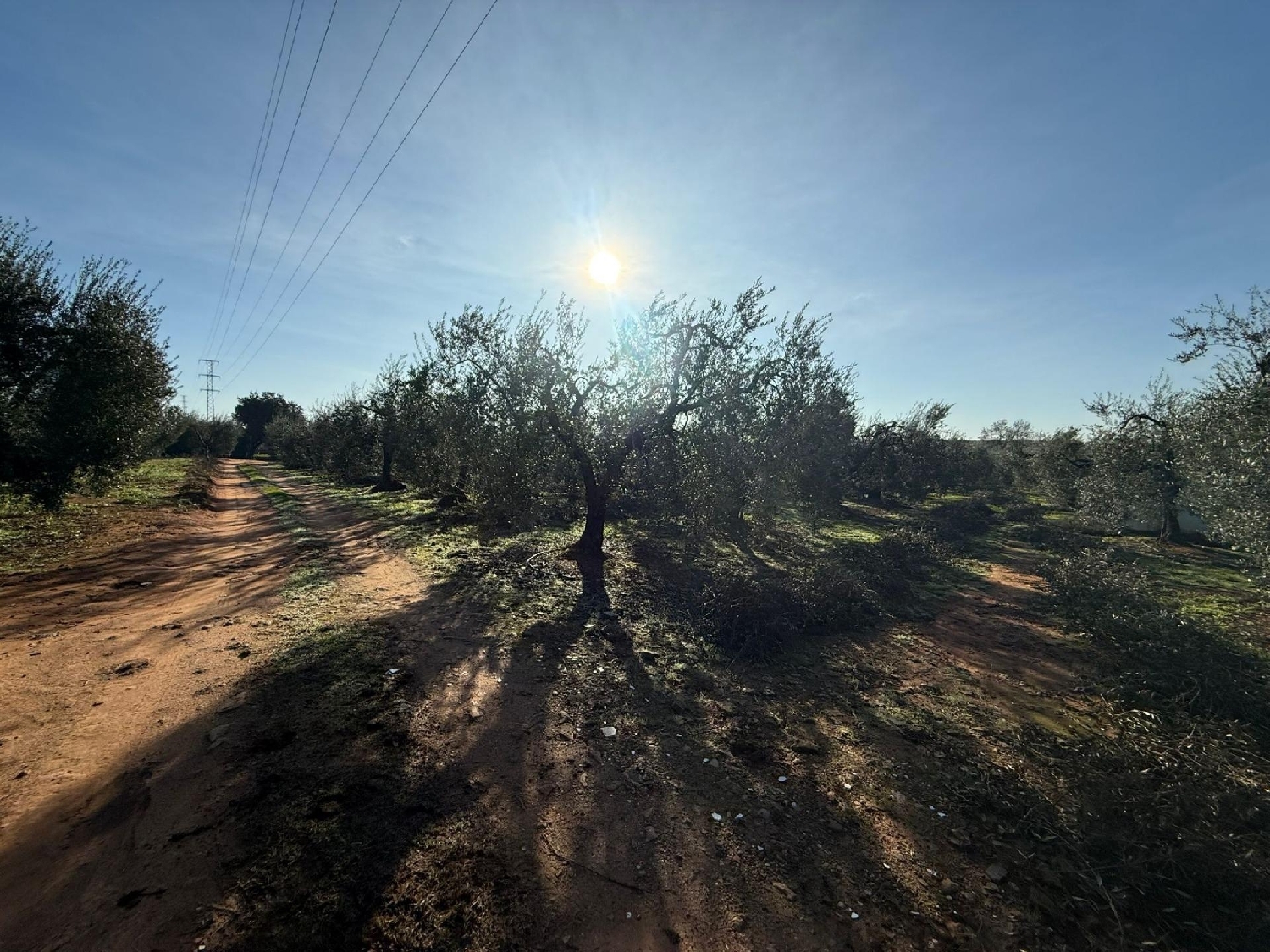  te koop perceel Pilas Aljarafe 7