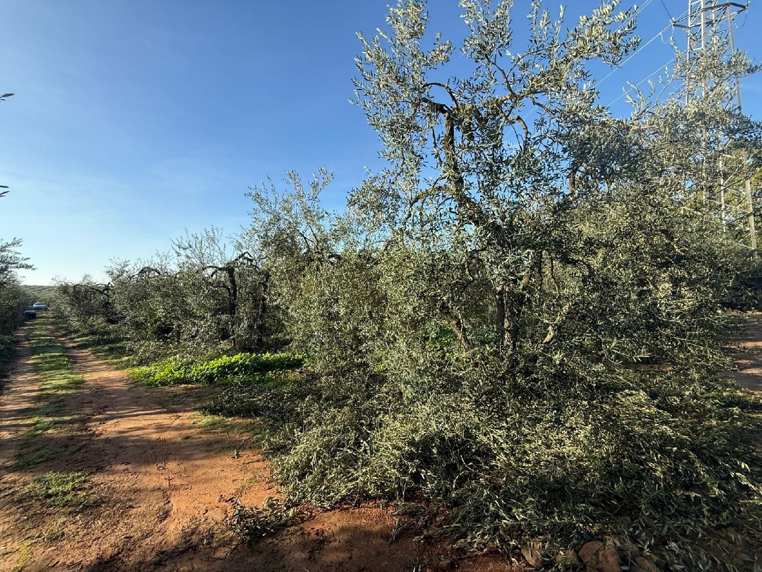  te koop perceel Pilas Aljarafe 4