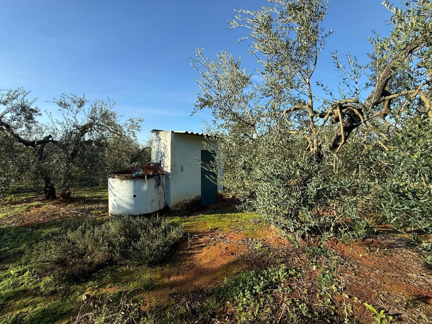  te koop perceel Pilas Aljarafe 1