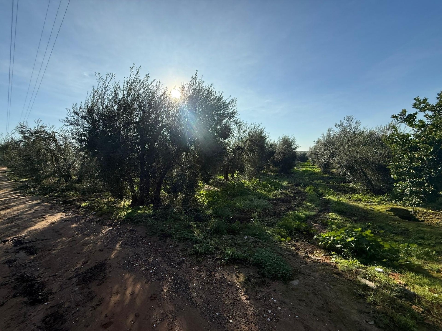  te koop perceel Pilas Aljarafe 2