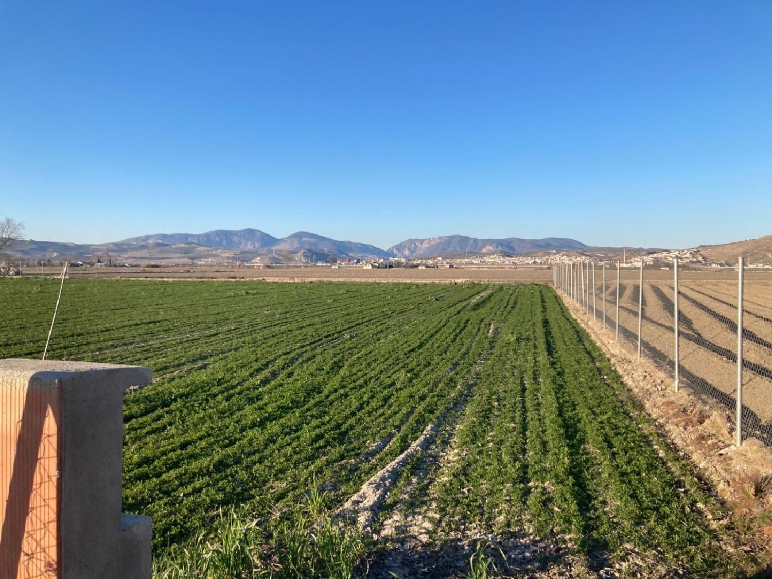  te koop perceel Pinos Puente Vega De Granada 4