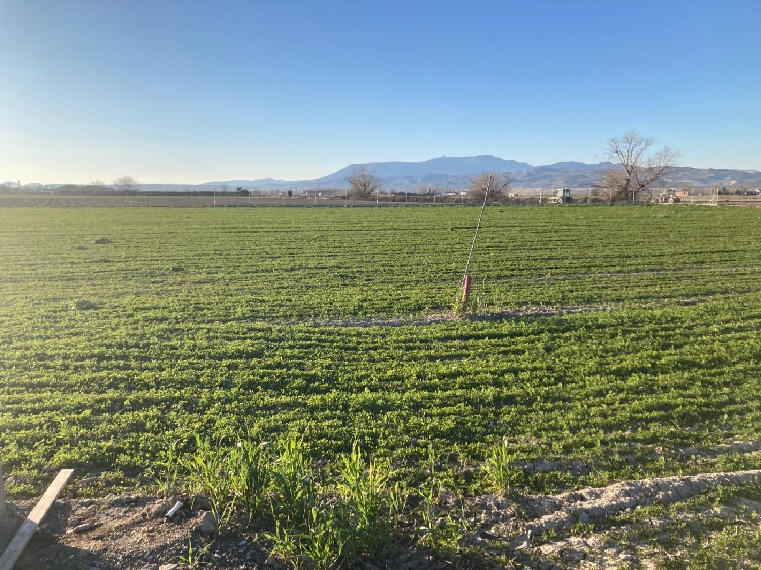  te koop perceel Pinos Puente Vega De Granada 6