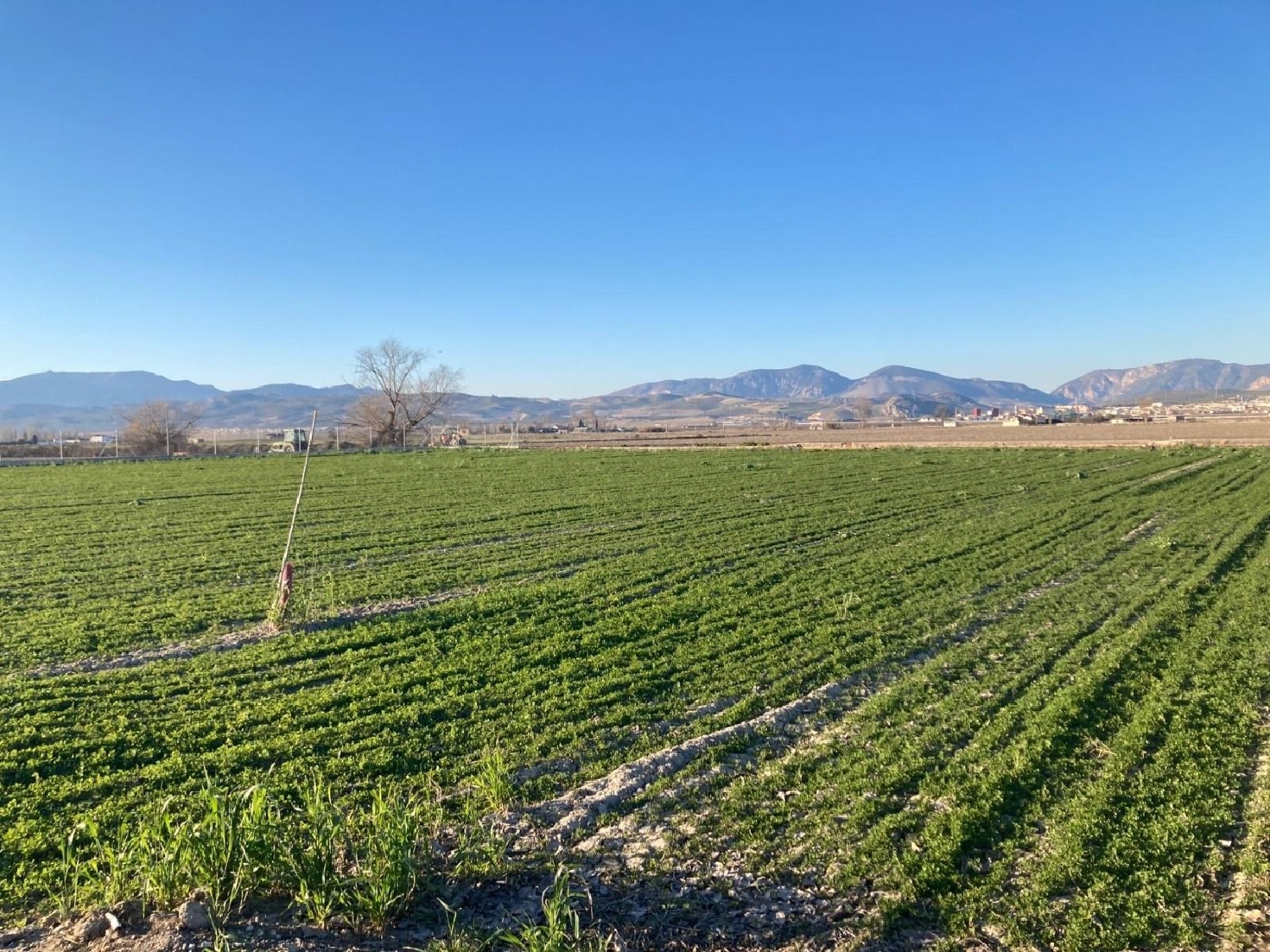  te koop perceel Pinos Puente Vega De Granada 7